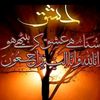 imranakram172