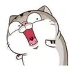yanwe111