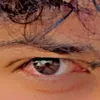 the.xalel