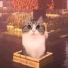 salmonnerr
