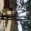 kesandungtresno94