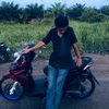 feldi_palala