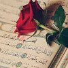 user9284034900261