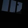 nele_3d