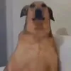 xnnxnnen
