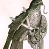 turk_m4343