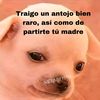 chtmpor1000