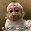 davidla68