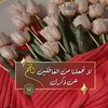 user1358488653306