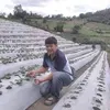 atekailing