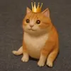 Nehuen_XD15