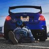 blu.rav3n