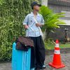 pinn_apinnn