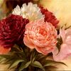 doody_774376