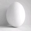 egg.12