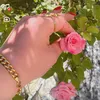 llhamali369