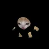 kurtjuventud_6969