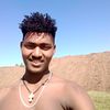 surafel264