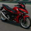 rafflesia785