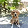 lilibethaludo
