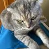 kaaaaaaaaaaaac