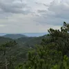 nuni_1688