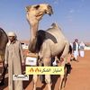 فهد الشكري
