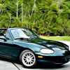 turtle.miata