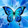prinsess536
