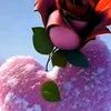 user7318811688885