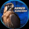 ✨Ahmed Hamzaoui✨🎖🦁️💫