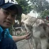 anhletuan555