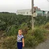thanhdien6060