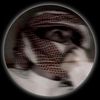 shahrzad86