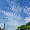 thanhtao200