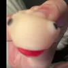 vipghoste