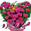 user4585524874721