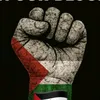 mmoh733