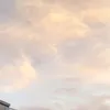 santino_h22