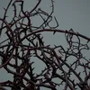argallagher_