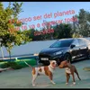 yomismo3476