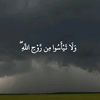 gassarwaheed