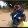 eufaloefoda