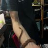 kaid3ns_reptiles