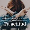 dany8419