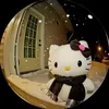 .ha_208