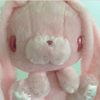cloverbunnii