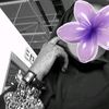 yousra_325