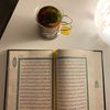 lloollo_446