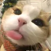 thonek1238